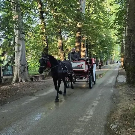 In Velika Aleja * Sarajevo