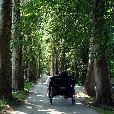 In Velika Aleja Saraievo